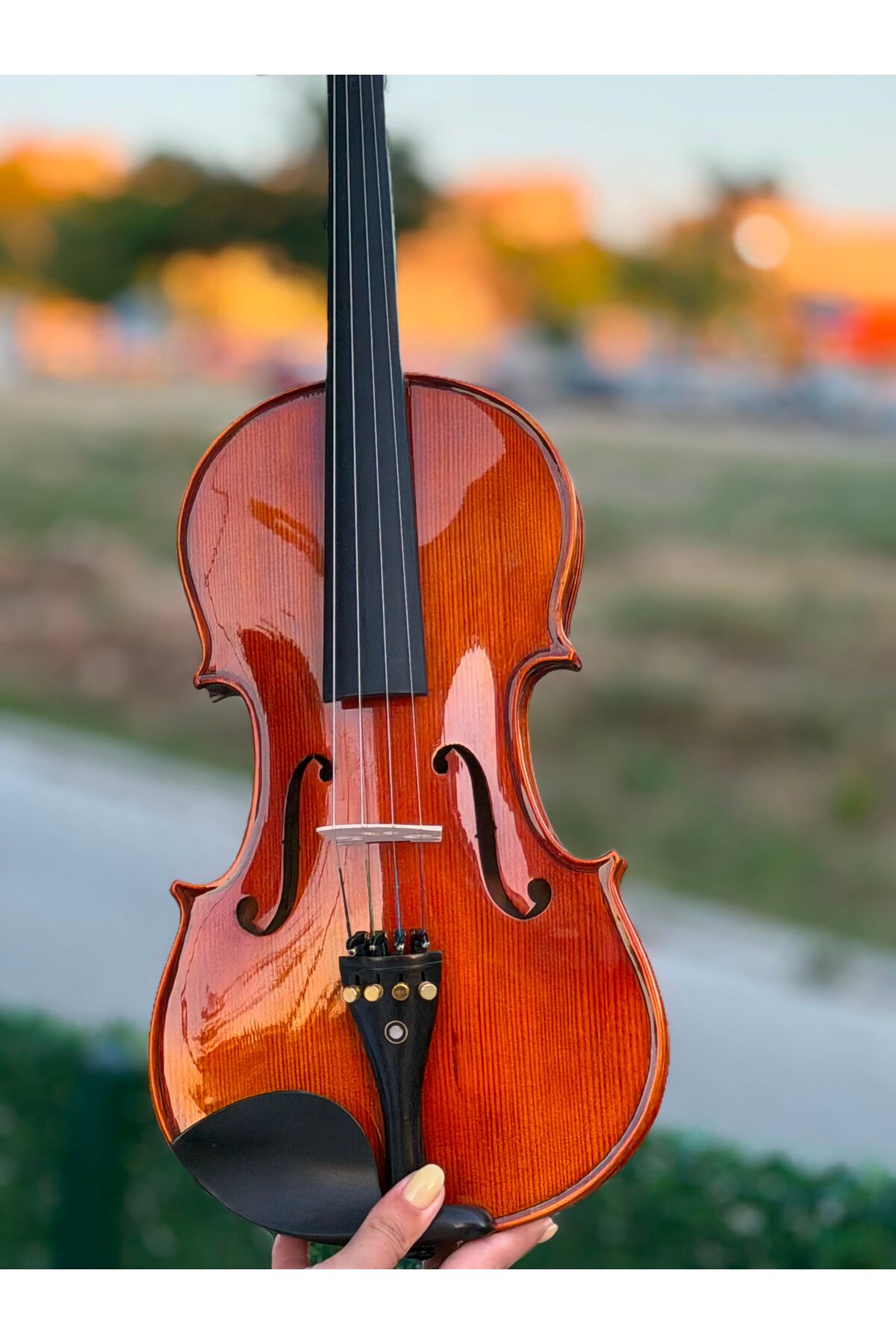 Nota Müzik Okulu El Yapımı Profesyonel Keman (4/4) - Tam Set (Yastık, Kılıf, Yay, Reçine Hediye)
